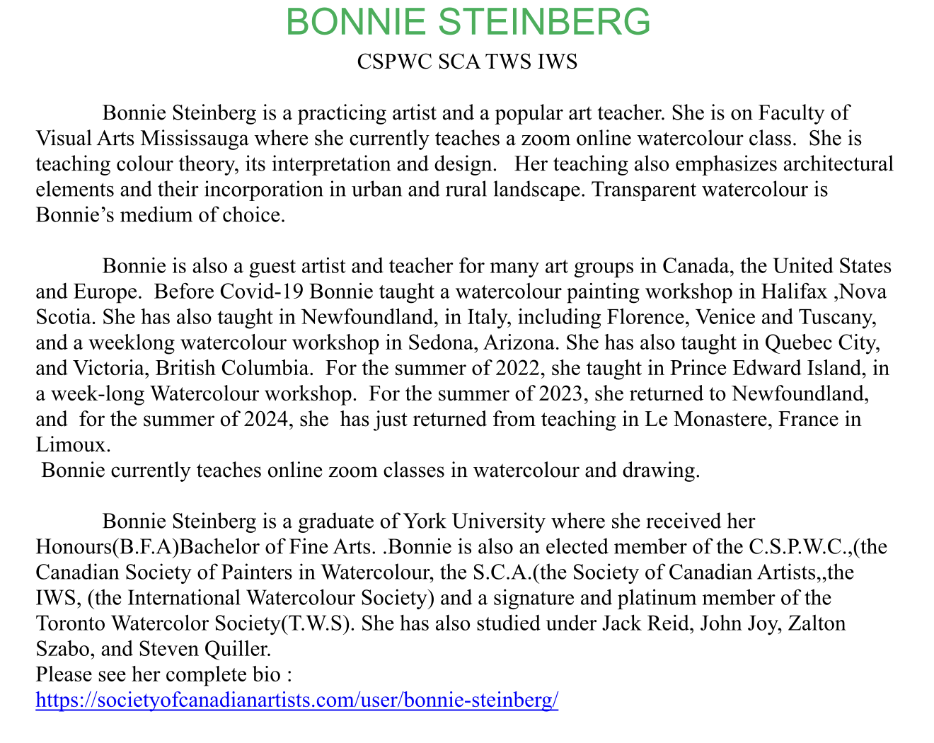 Bonnie Steinberg Artist Bio